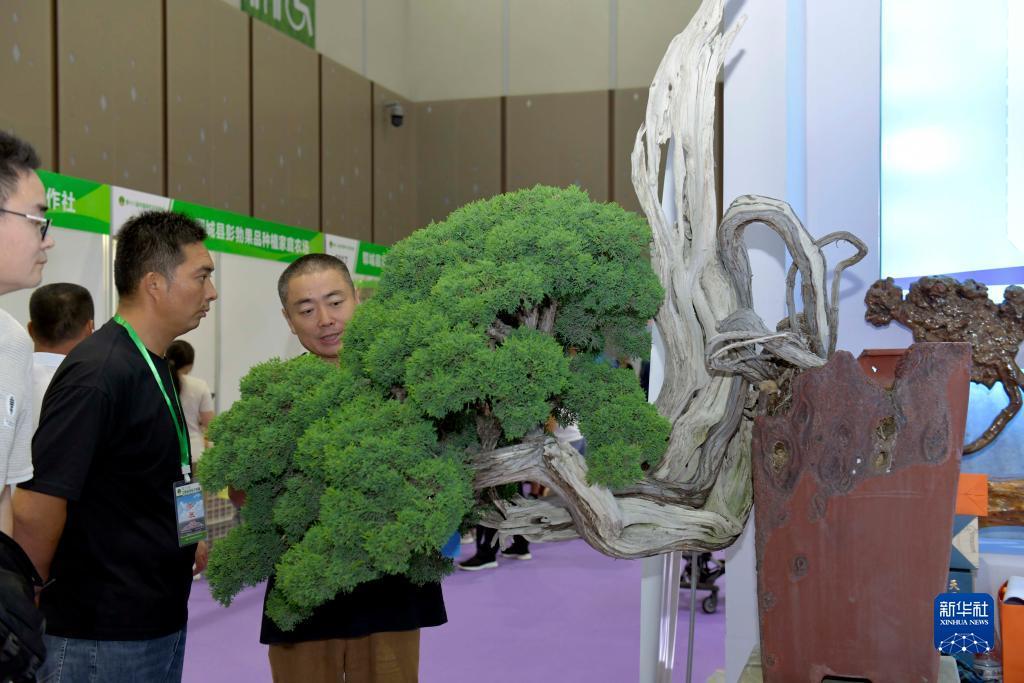 奥门银河网站
